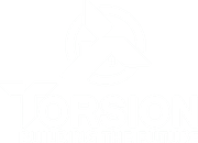 Torsion Logo